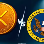¡El Litigio Entre Ripple Y La Sec Está Lejos De Terminar! Abogado De Xrp Revela Los Próximos Pasos